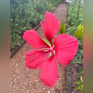 Extra shipping label